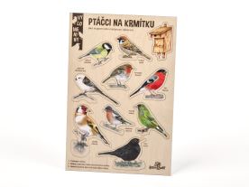 Velké vylomeniny - Ptáčci na krmítku (4)