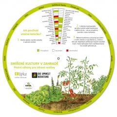 Smíšené kultury v zahradě - Lipka