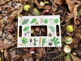 Okénko Hravého BADATELE - Stromy (4)