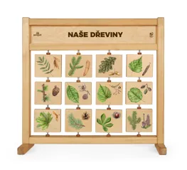 Tabulky poznání stolní - Naše dřeviny