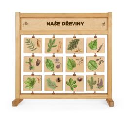 Tabulky poznání stolní - Naše dřeviny