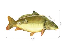 Nažehlovačka L 003 - Ryby (5)