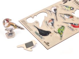 Velké vylomeniny - Ptáčci na krmítku (3)