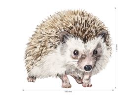 Nažehlovačka M 077 - Ježek bělobřichý (2)