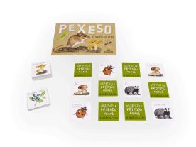 Papírové pexeso - Z našeho lesa (4)