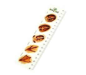 Papírová záložka s měřítkem - Stopy