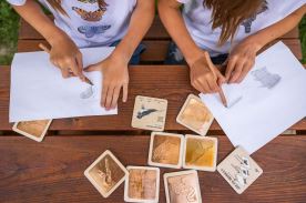 Mini frotážová sada - Z vodní říše (2)