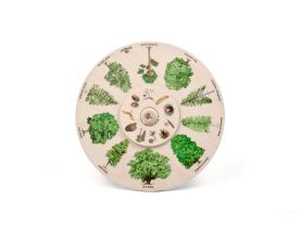 Otočné kolo - Plody