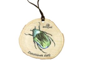 Dřevěná medaile letokruh - Zlatohlávek