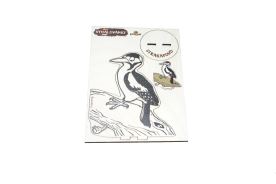 Vymalovánky - Strakapoud