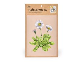 Nažehlovačka M 002 - Sedmikráska