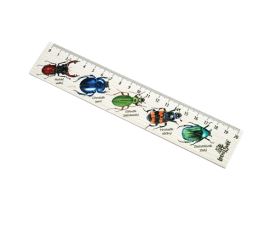 Dřevěné pravítko 20 cm - Brouci