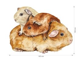 Nažehlovačka L 038 - Morčata (3)