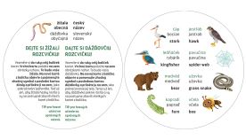 Fofrník - Pro nejmenší (5)