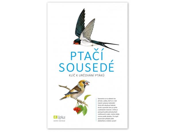 Ptačí sousedé - Lipka
