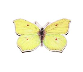 Magnet tvar - Žluťásek