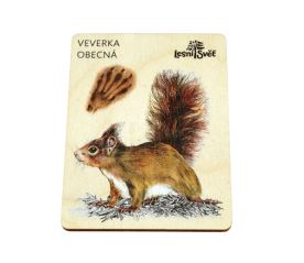 Magnet velký - Veverka
