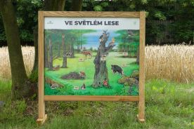 Stolní biotop s magnety - Ve světlém lese (1)