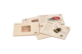 Frotážová sada - Hmyz (1)