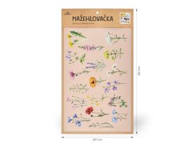 Nažehlovačka L 044 - Luční kvítí 2. (2)