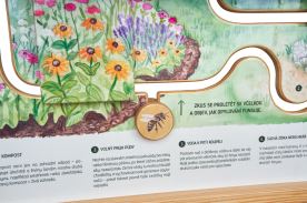 Opylovači naší zahrady (2)