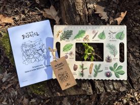 Okénko Hravého BADATELE - Stromy (3)