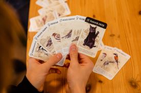 Černý Petr - Ptačí páry (1)