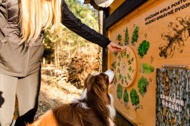 Otočné kolo - Dřeviny (M) (3)