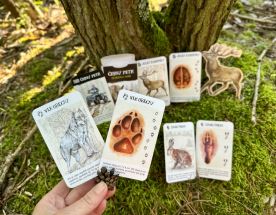 Černý Petr - Po stopách zvěře (2)