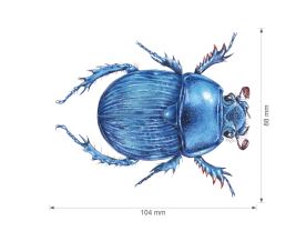 Nažehlovačka S 017 - Brouci (2)