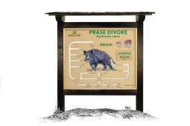 Myslivecká  Mluva - Divočák