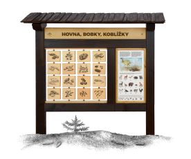 Hovna, bobky, koblížky (1)