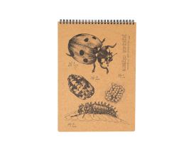 Eko blok z recy papíru L - Slunéčko sedmitečné