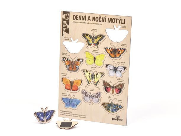 Velké vylomeniny - Noční a denní motýli