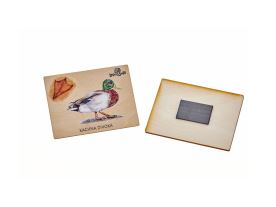 Magnet velký - Kačer