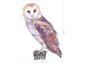 Nažehlovačka L 019 - Sova pálená (2)