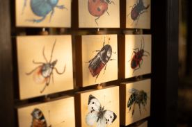 Tabulky poznání (M) (1)