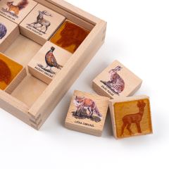 Razítka 9 kusů - Lesní zvířátka (1)