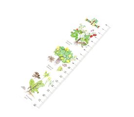 Papírová záložka s měřítkem - Byliny