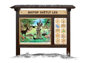 Biotop (M) Světlý les