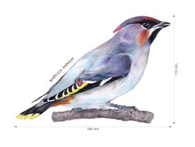 Nažehlovačka L 002 - Ptáci (4)