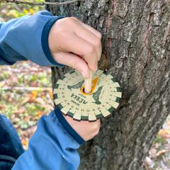 Batůžek Hravého BADATELE - Stromy (1)