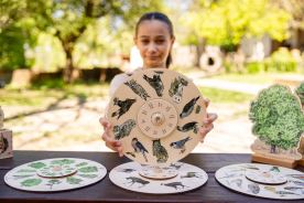 Otočné kolo - Lesní ptáci (4)