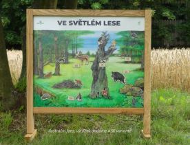 Stolný biotop s magnetmi - Svetlý les SK