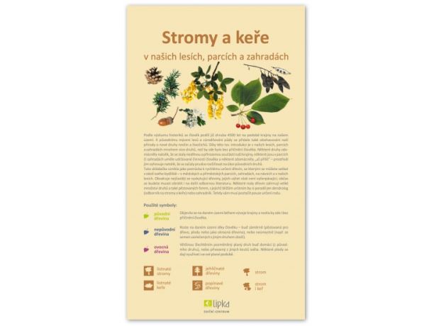 Stromy a keře v našich lesích, parcích a zahradách - Lipka