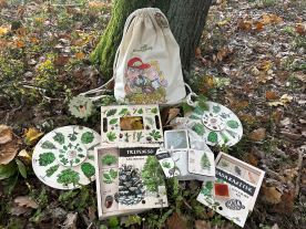 Batůžek Hravého BADATELE - Stromy