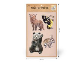 Nažehlovačka L 005 - Mláďata (1)