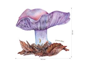 Nažehlovačka M 007 - Čirůvka (3)