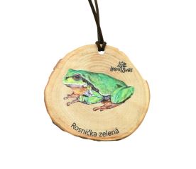 Dřevěná medaile letokruh - Rosnička