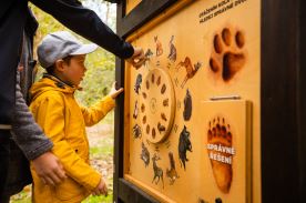 Otočné kolo - Stopy (M) (2)